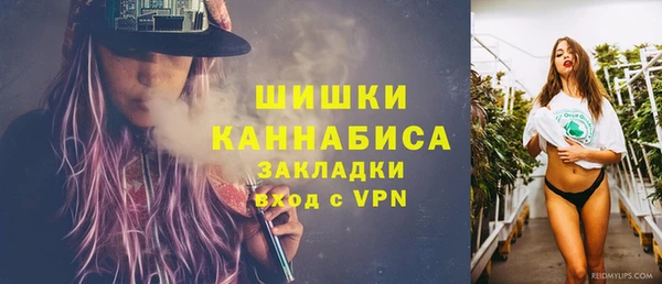 дмт Липки