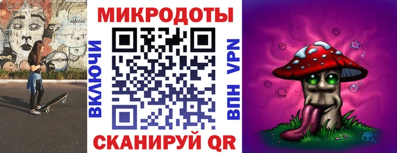 где найти   Мураши  Псилоцибиновые грибы Psilocybe 